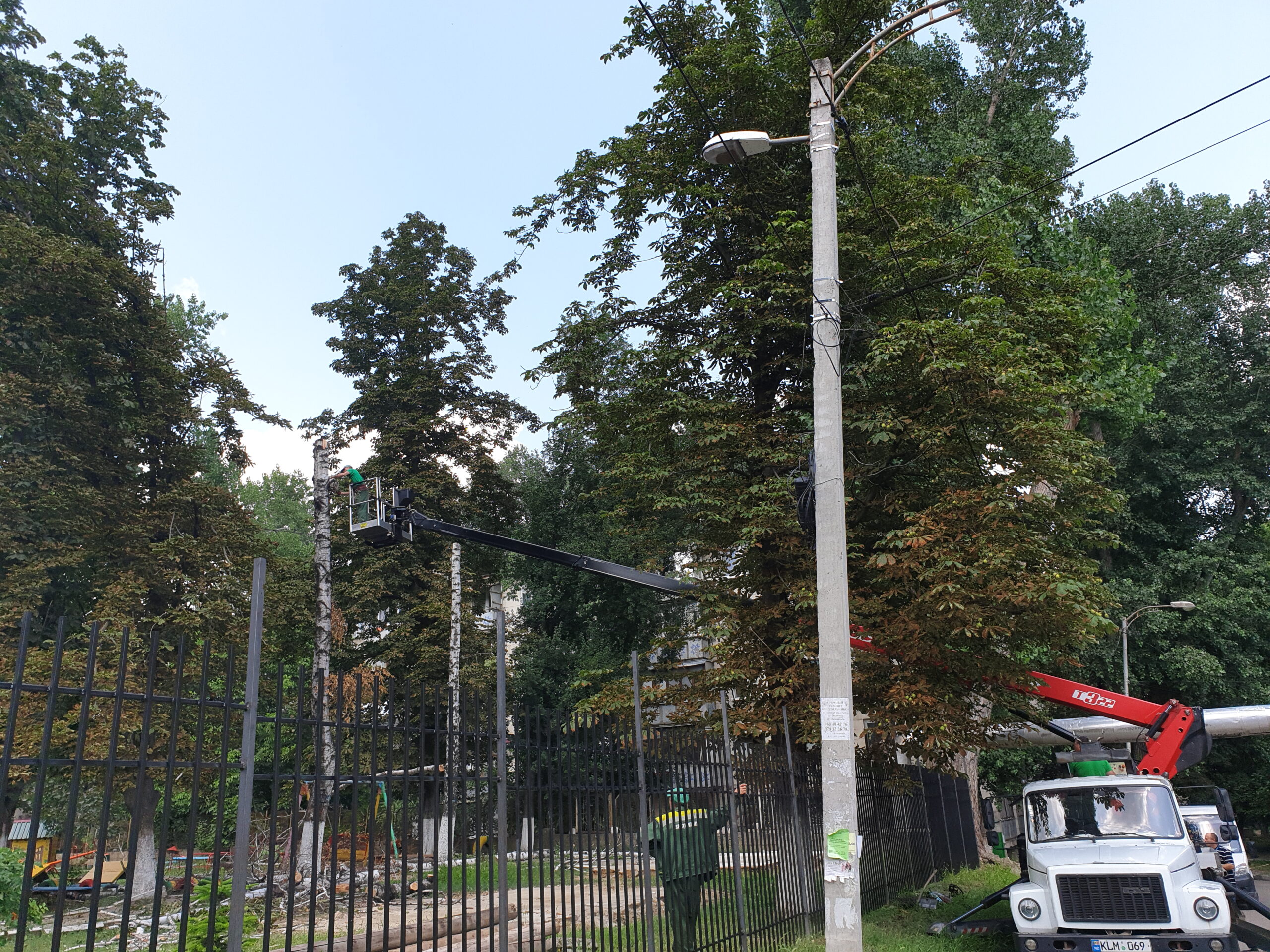 Defrişarea copacilor de pe teritoriul IET nr.62