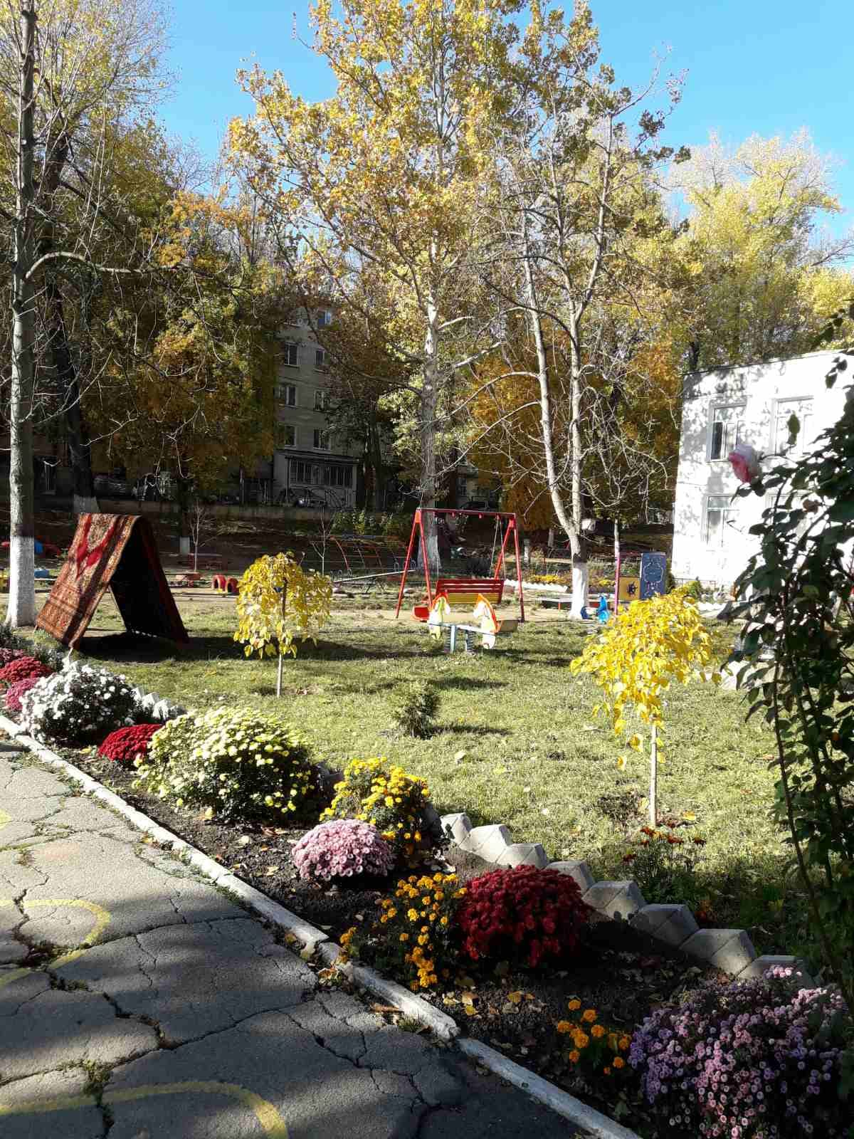 Actiuni de salubrizare Toamna 2022